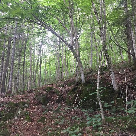 Chalet Nature Laurentides Val-des-Lacs Exterior foto
