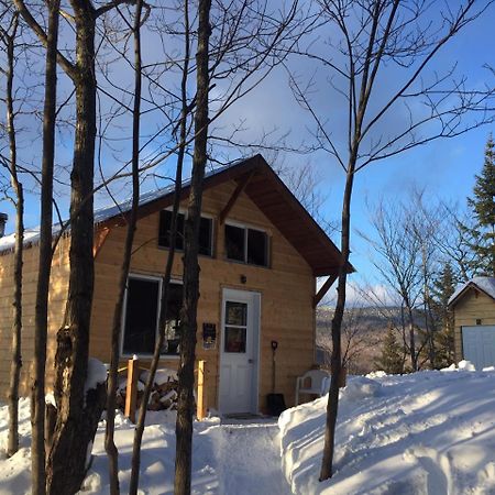 Chalet Nature Laurentides Val-des-Lacs Exterior foto